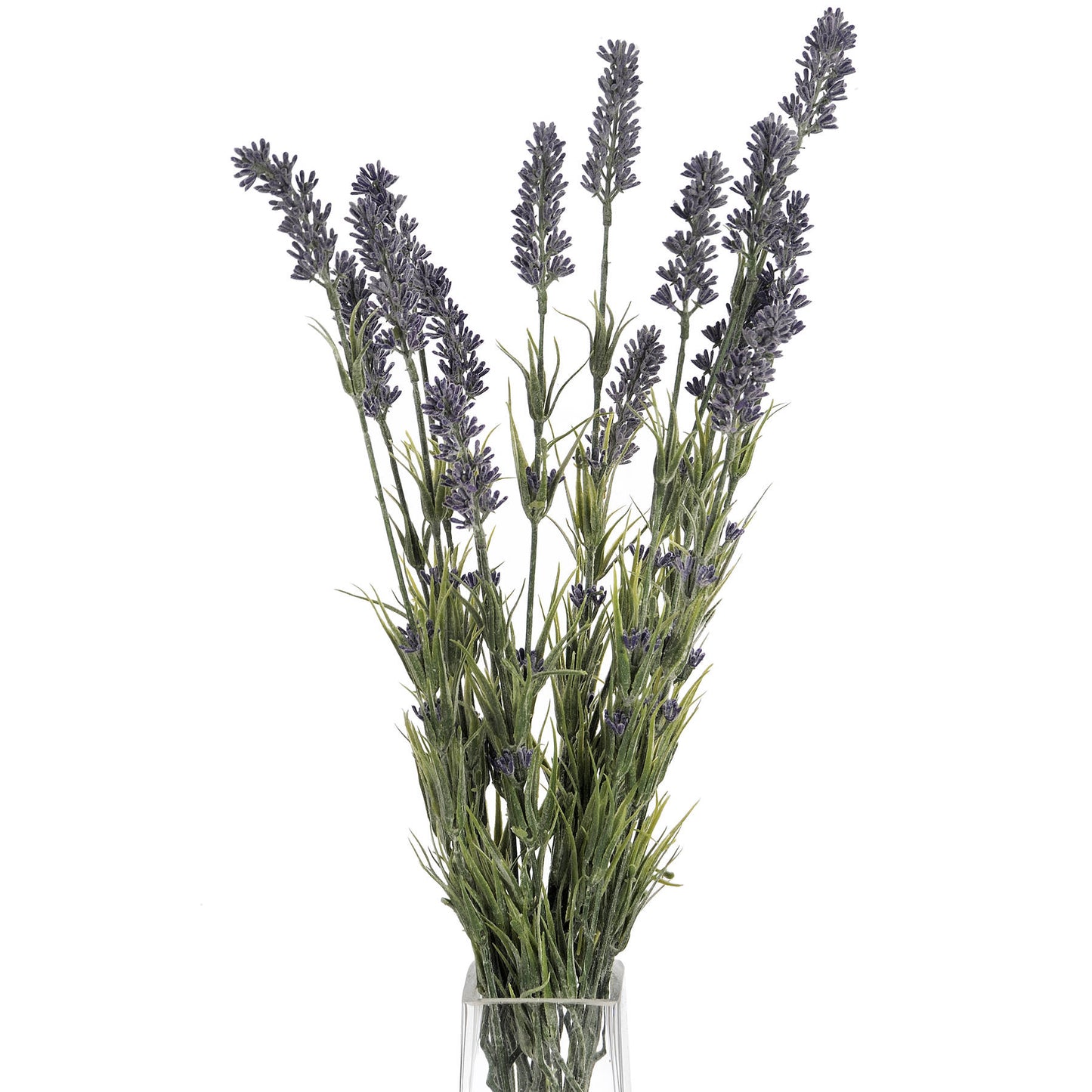 Skandi London Large Lavender Bush - Skandi London