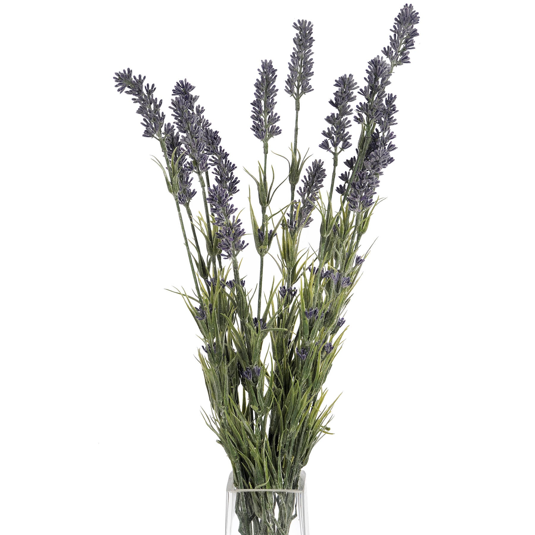 Skandi London Large Lavender Bush - Skandi London