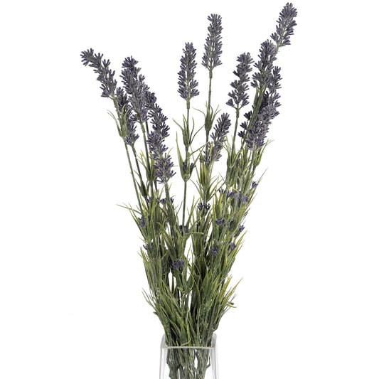 Skandi London Large Lavender Bush - Skandi London