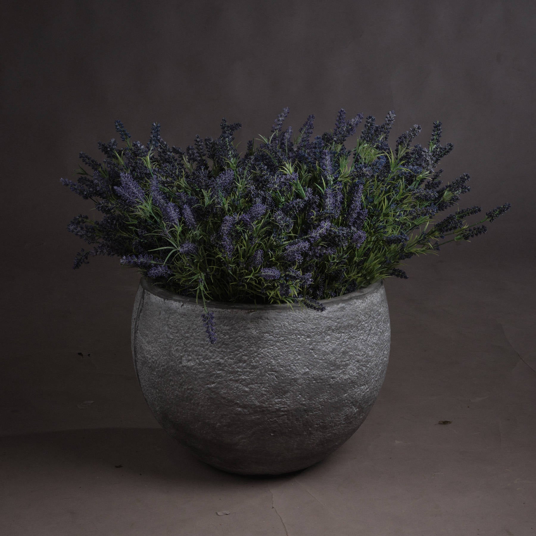 Skandi London Large Lavender Bush - Skandi London