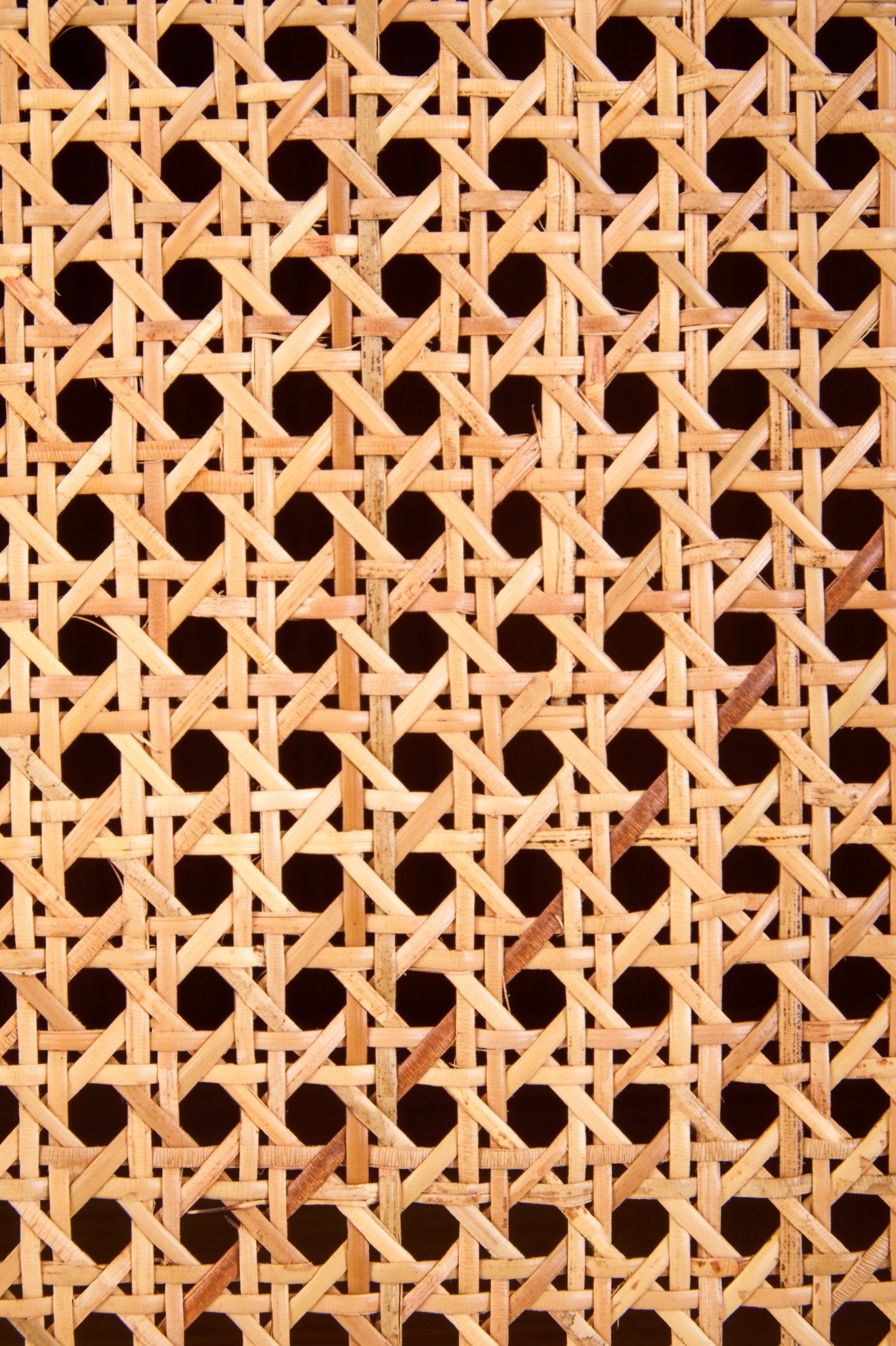 Janica 2 Door Natural Rattan And Oak Cabinet - Skandi London