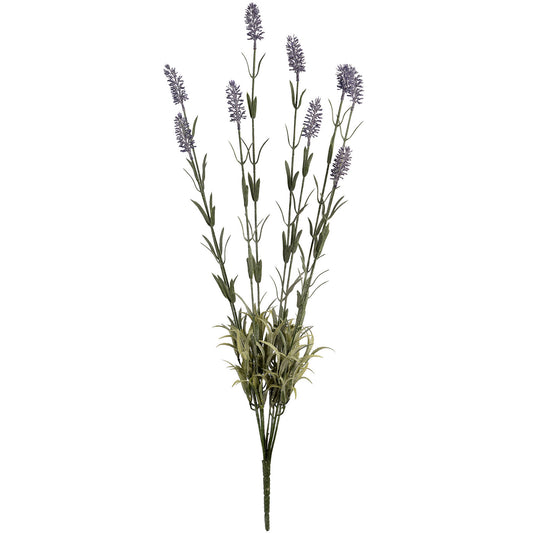 Skandi London Large Lavender Spray - Skandi London