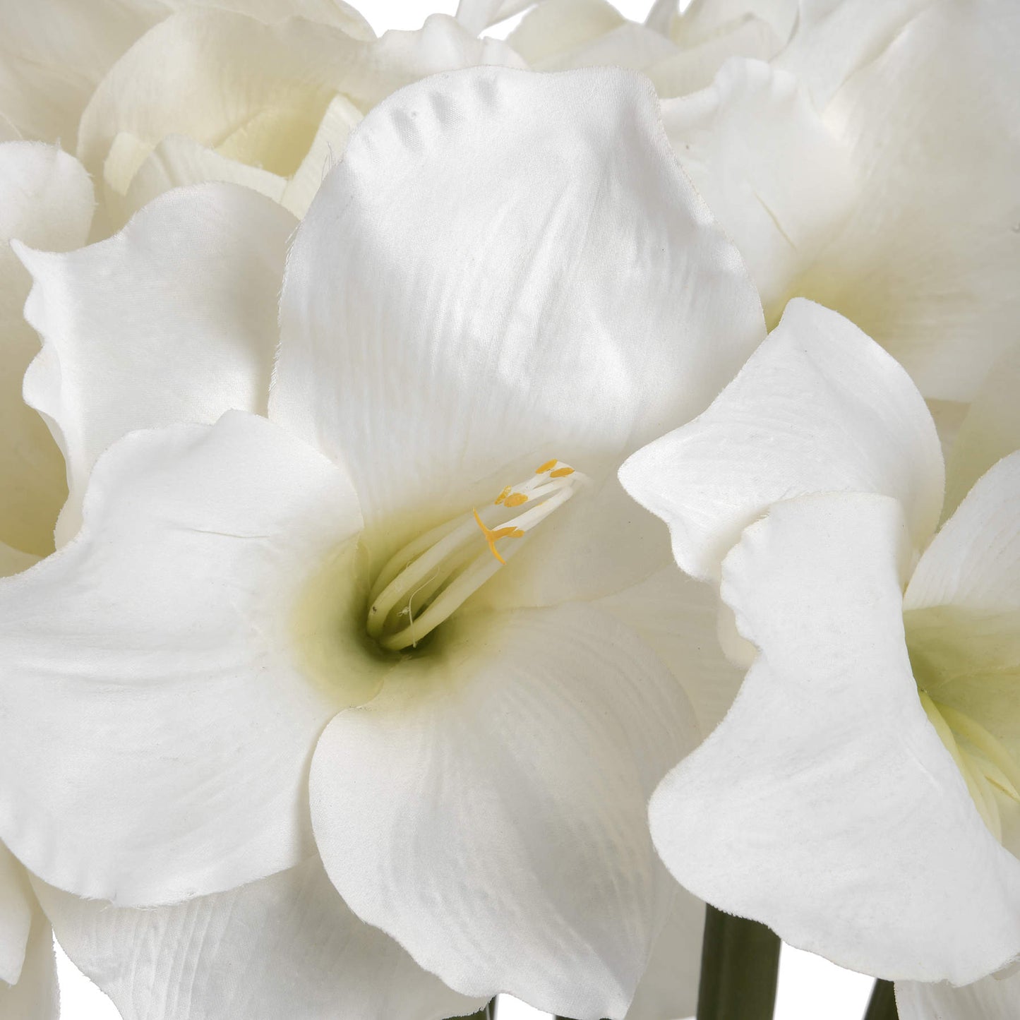 Skandi London Classic White Amaryllis Flower - Skandi London
