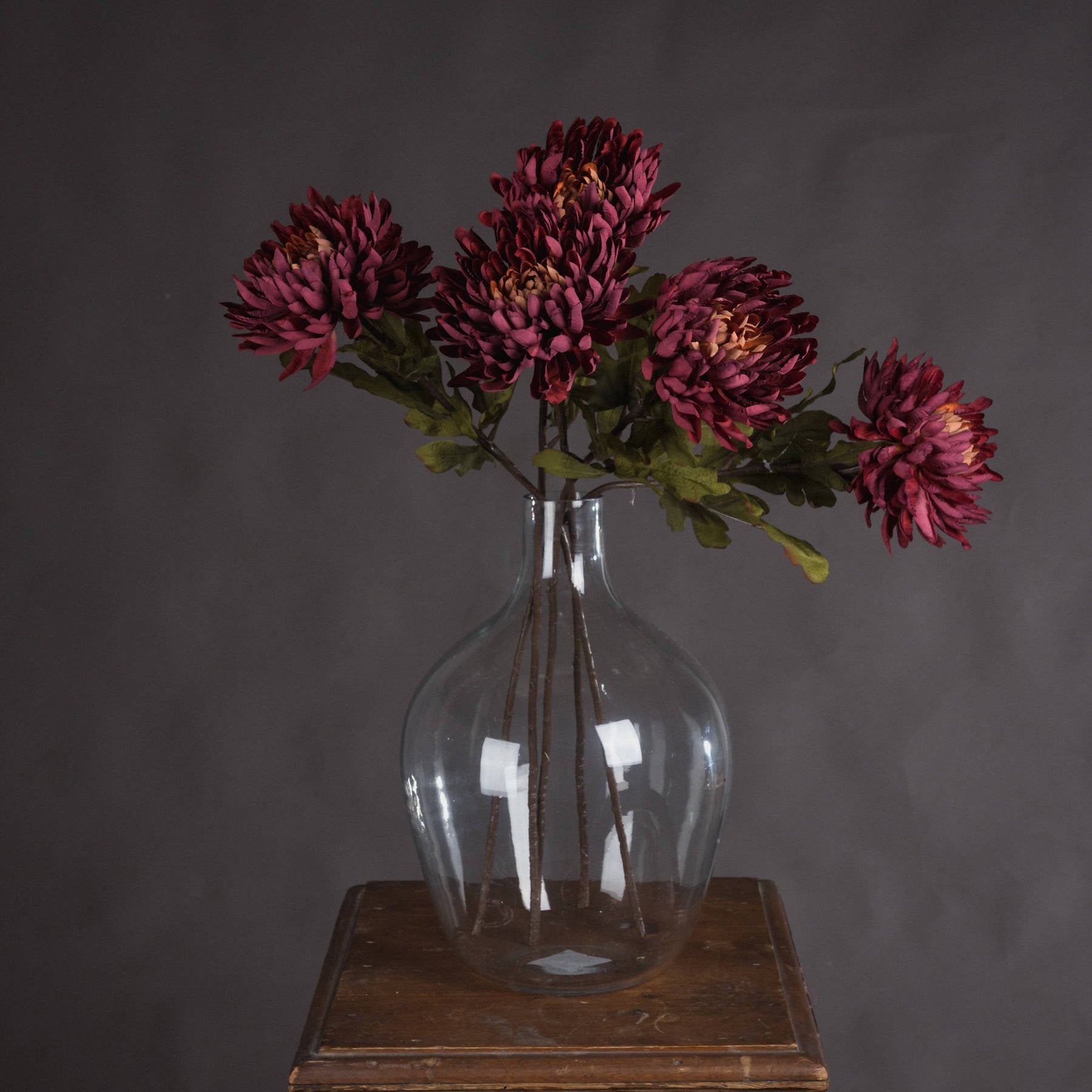 Skandi London Autumn Spider Chrysanthemum - Skandi London