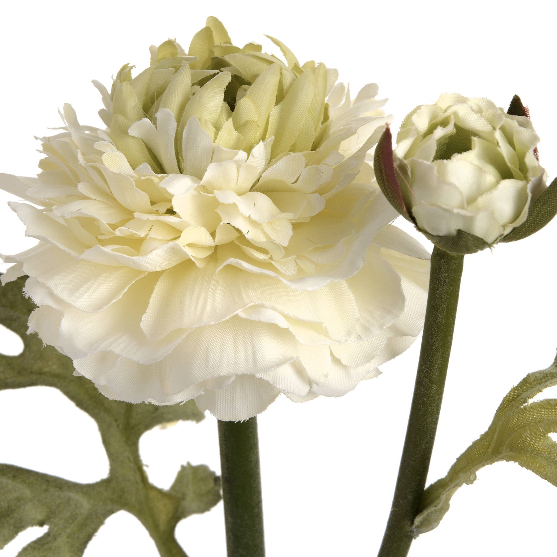 Skandi London Green Ranunculus Spray - Skandi London