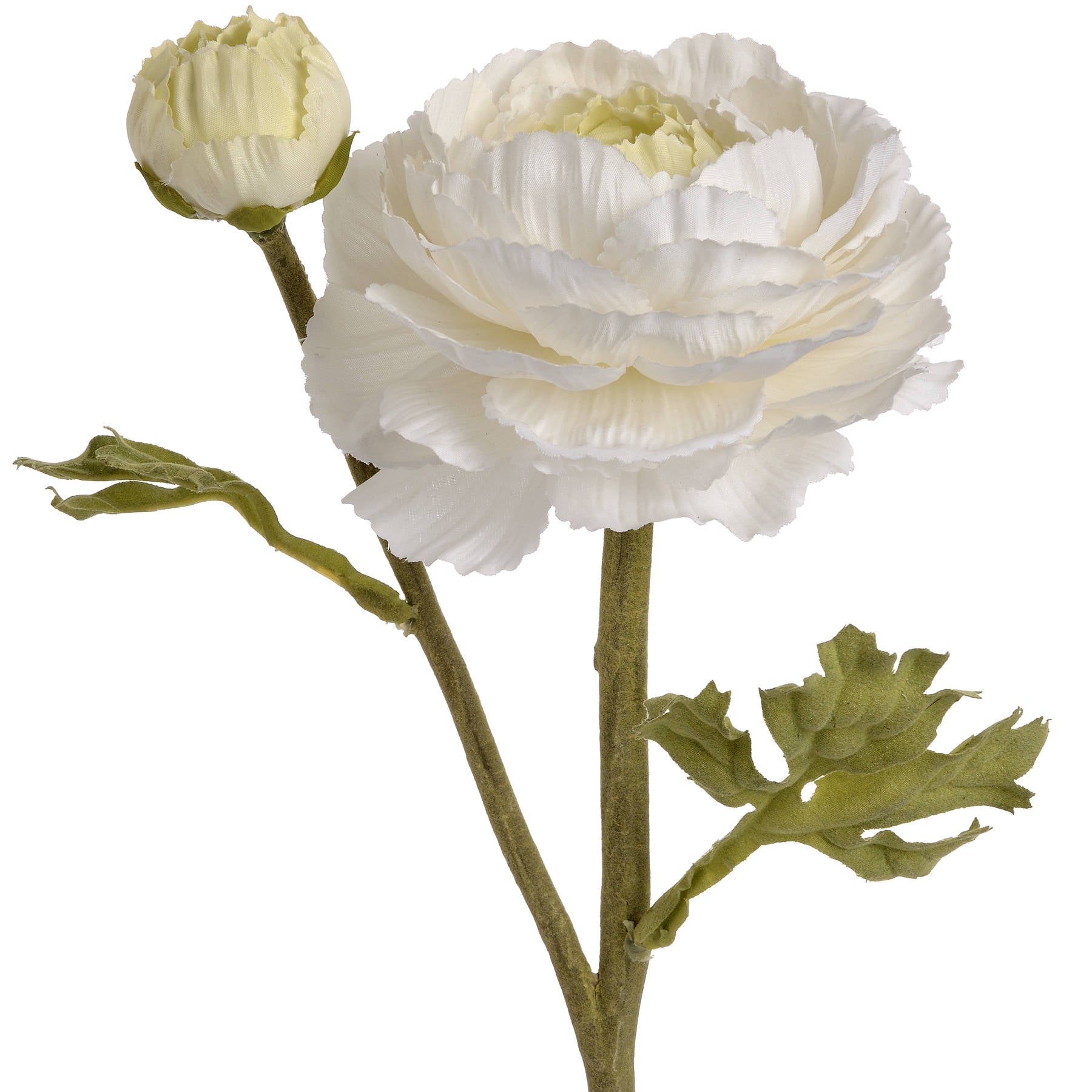 Skandi London White Ranunculus Spray - Skandi London