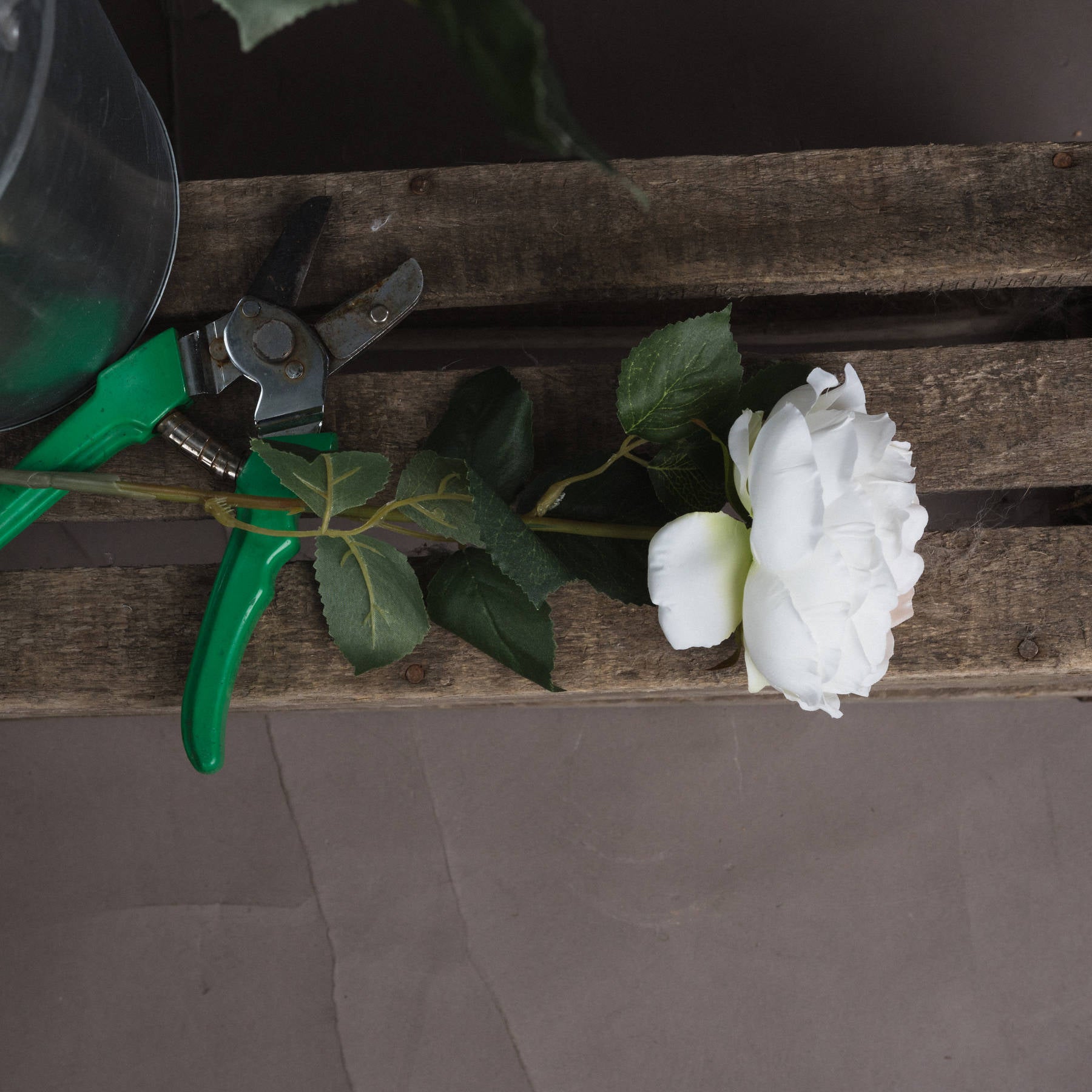 Skandi London Blush Garden Rose - Skandi London