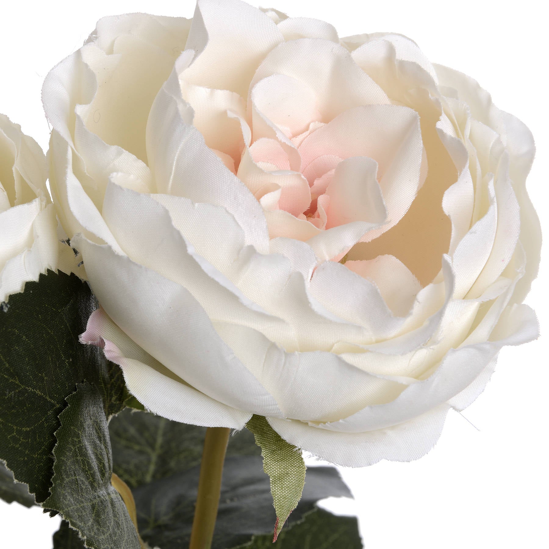 Skandi London Blush Garden Rose - Skandi London