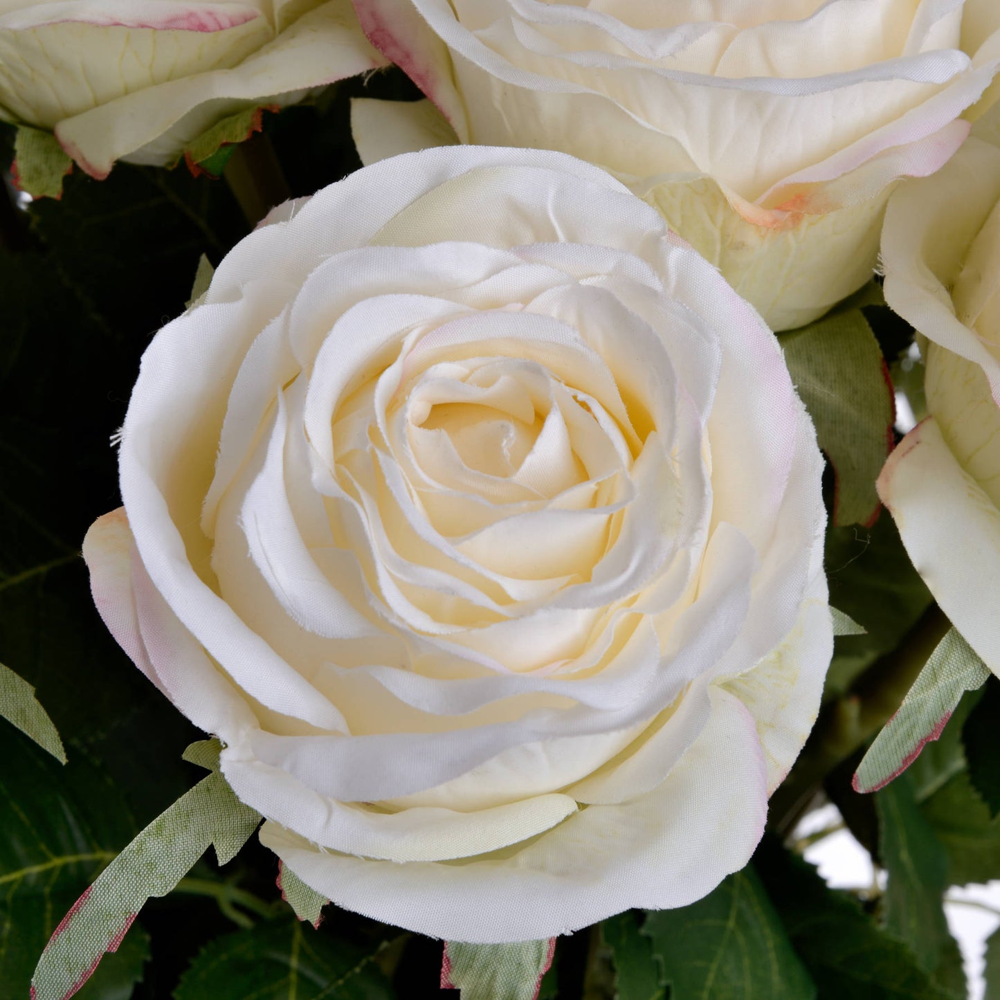 Skandi London Traditional White Rose - Skandi London