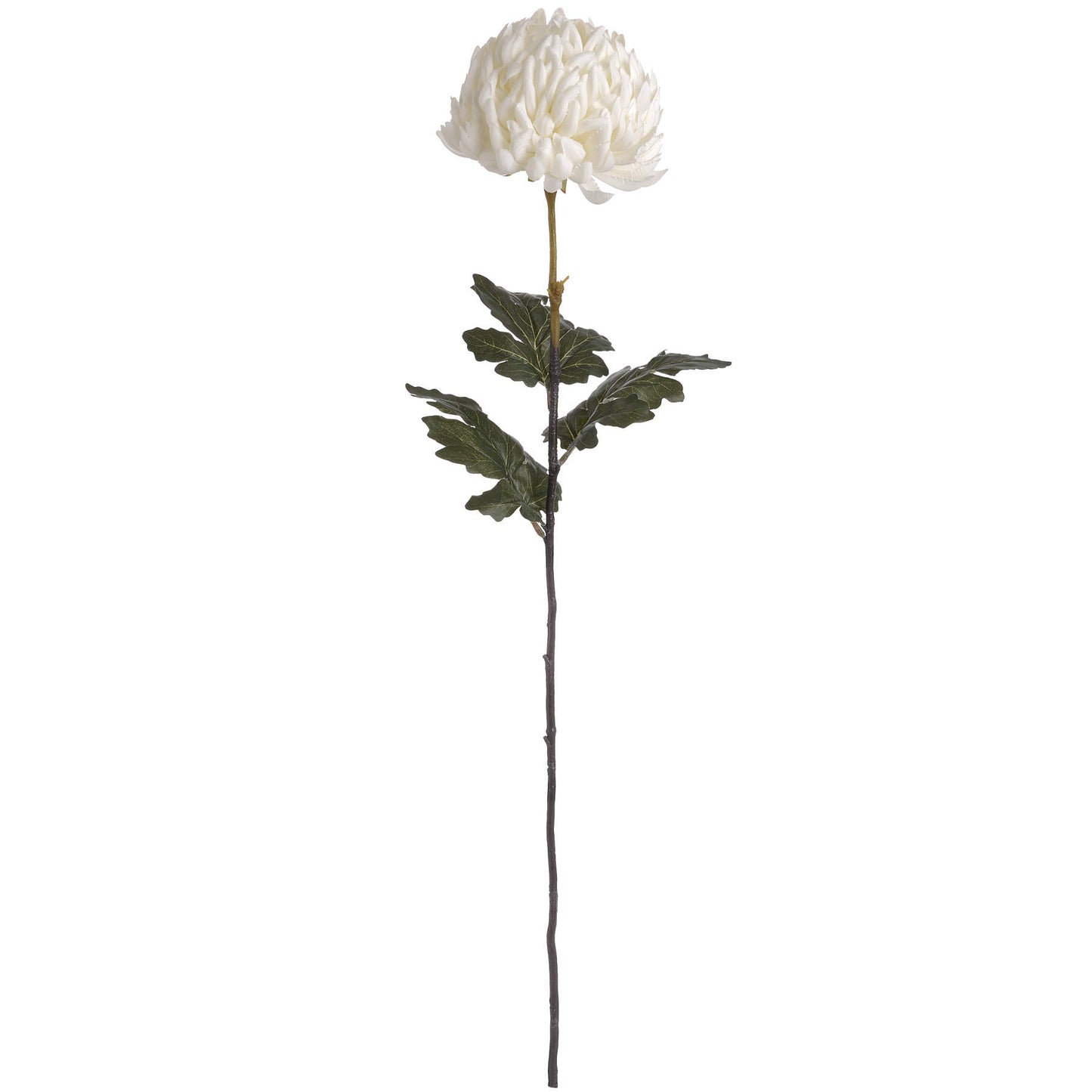 Skandi London Large White Chrysanthemum - Skandi London