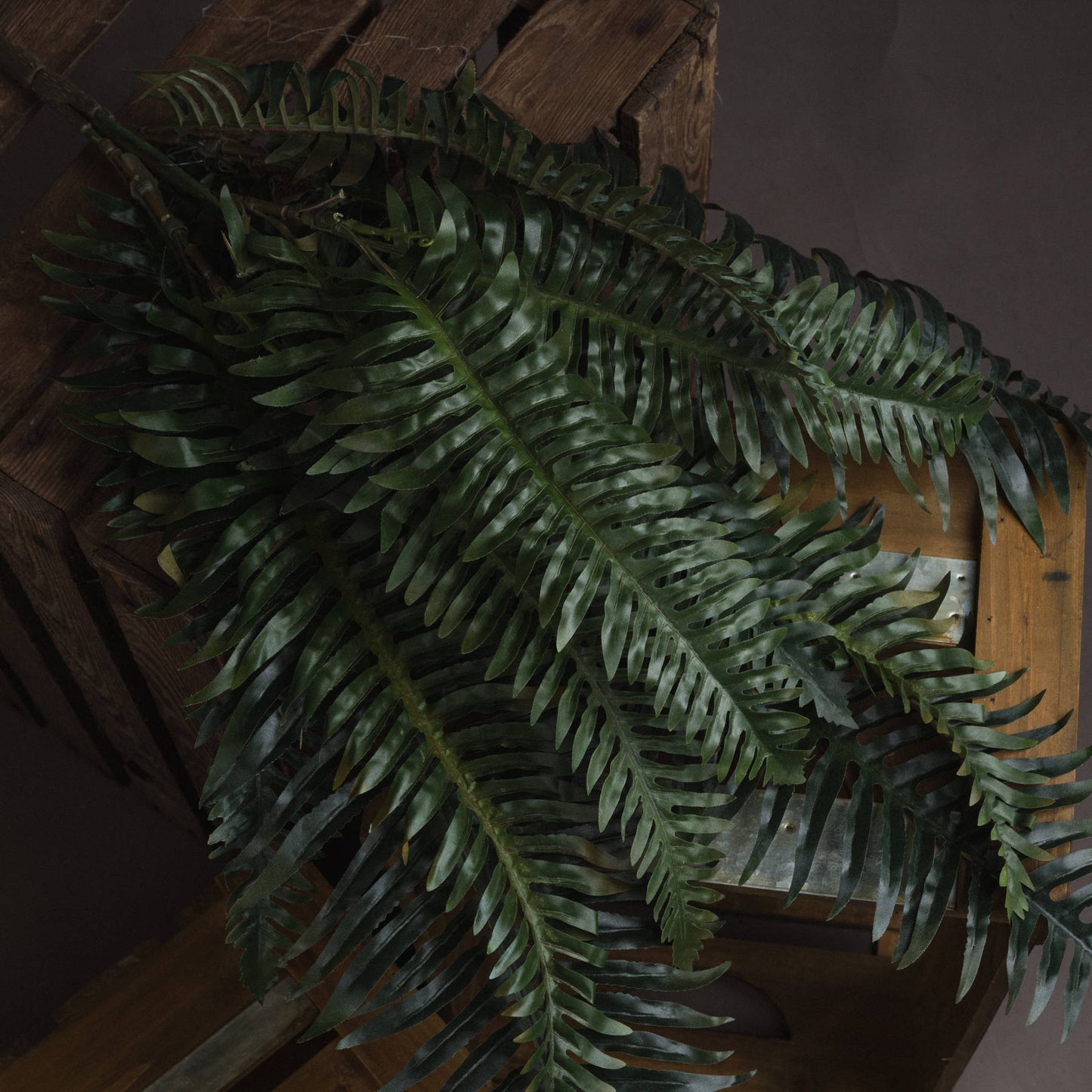 Skandi London Fern Bunch - Skandi London