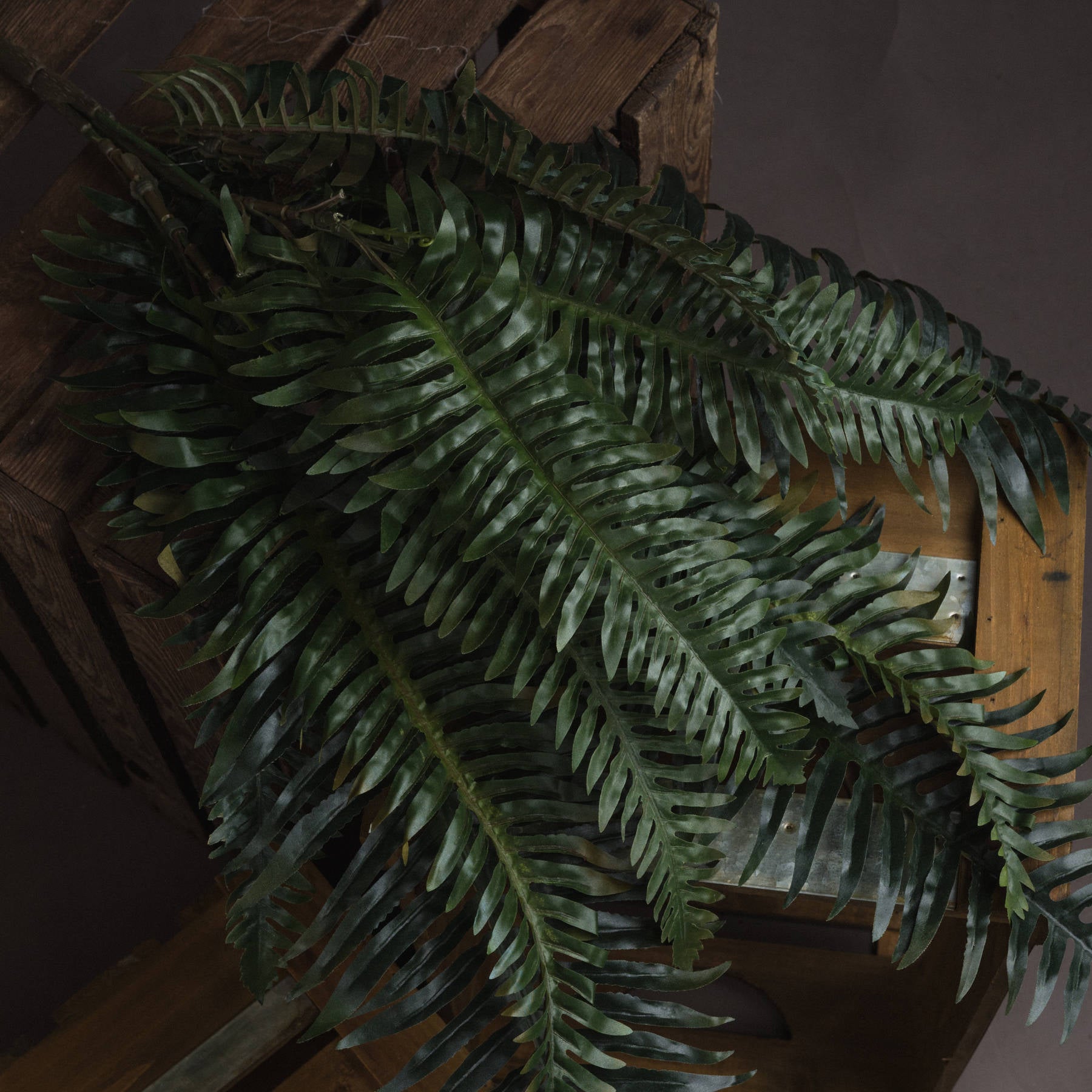 Skandi London Fern Bunch - Skandi London