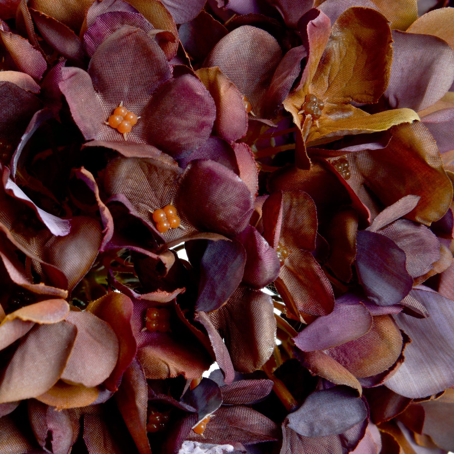 Skandi London Autumn Coffee Hydrangea - Skandi London