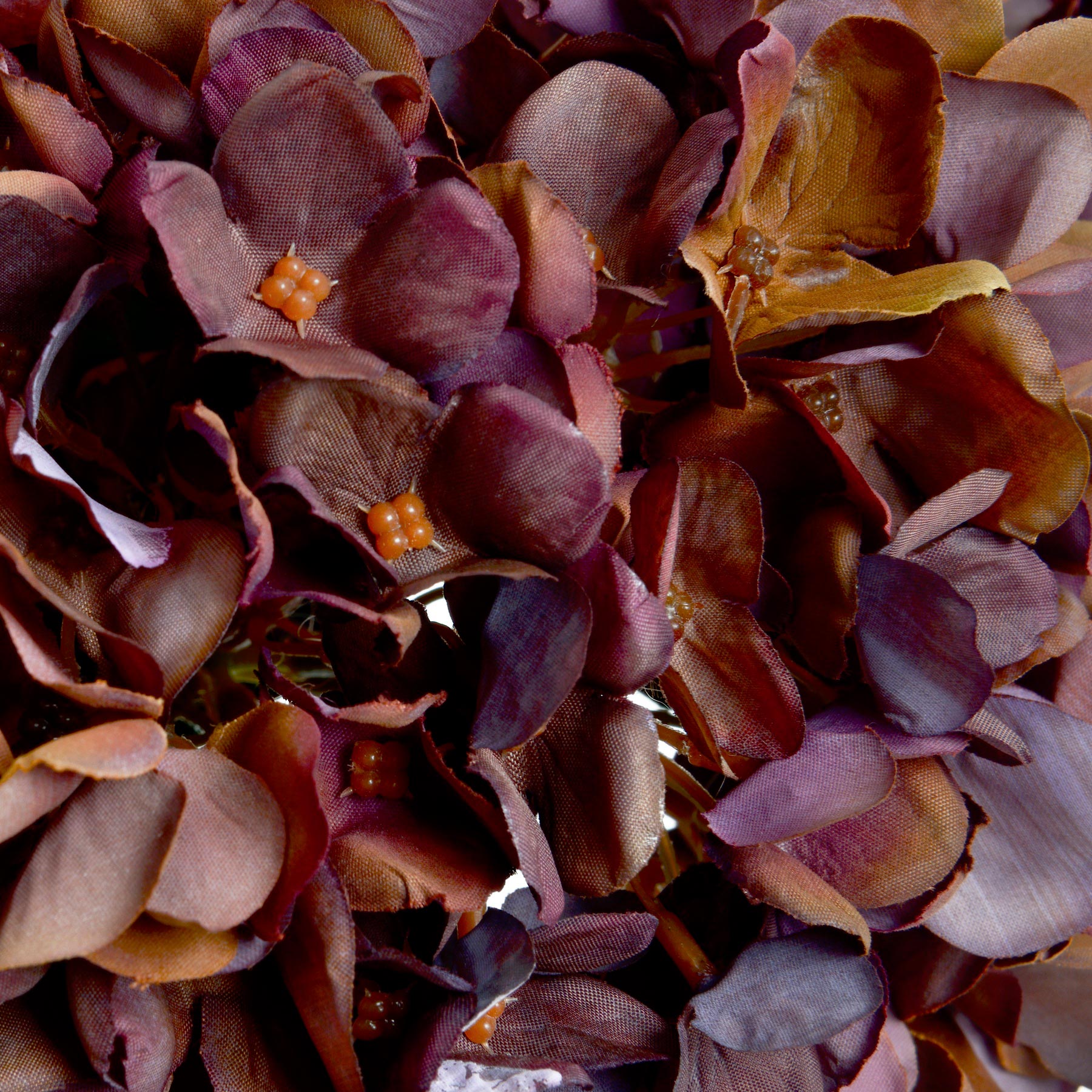 Skandi London Autumn Coffee Hydrangea - Skandi London