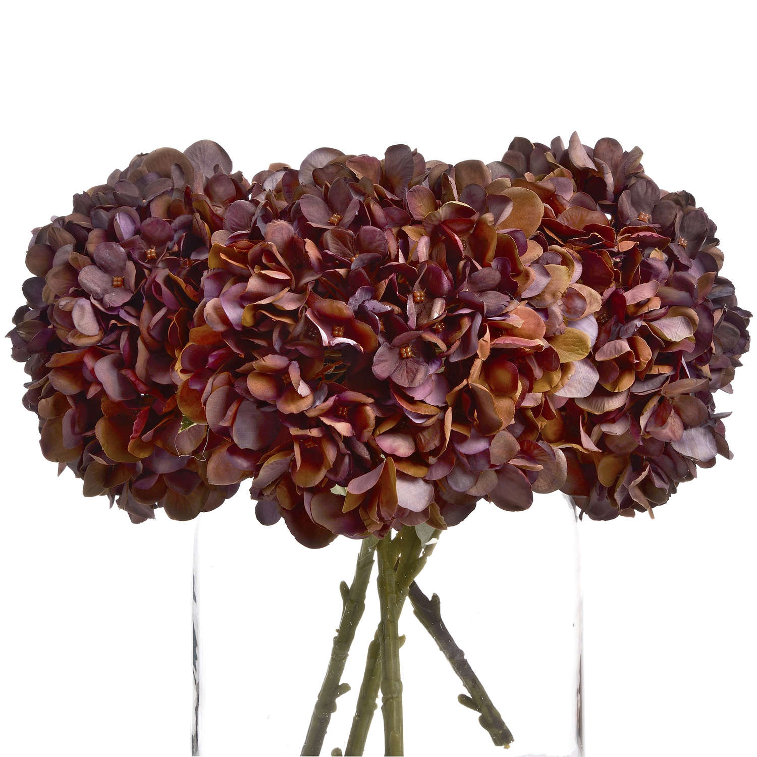 Skandi London Autumn Coffee Hydrangea - Skandi London