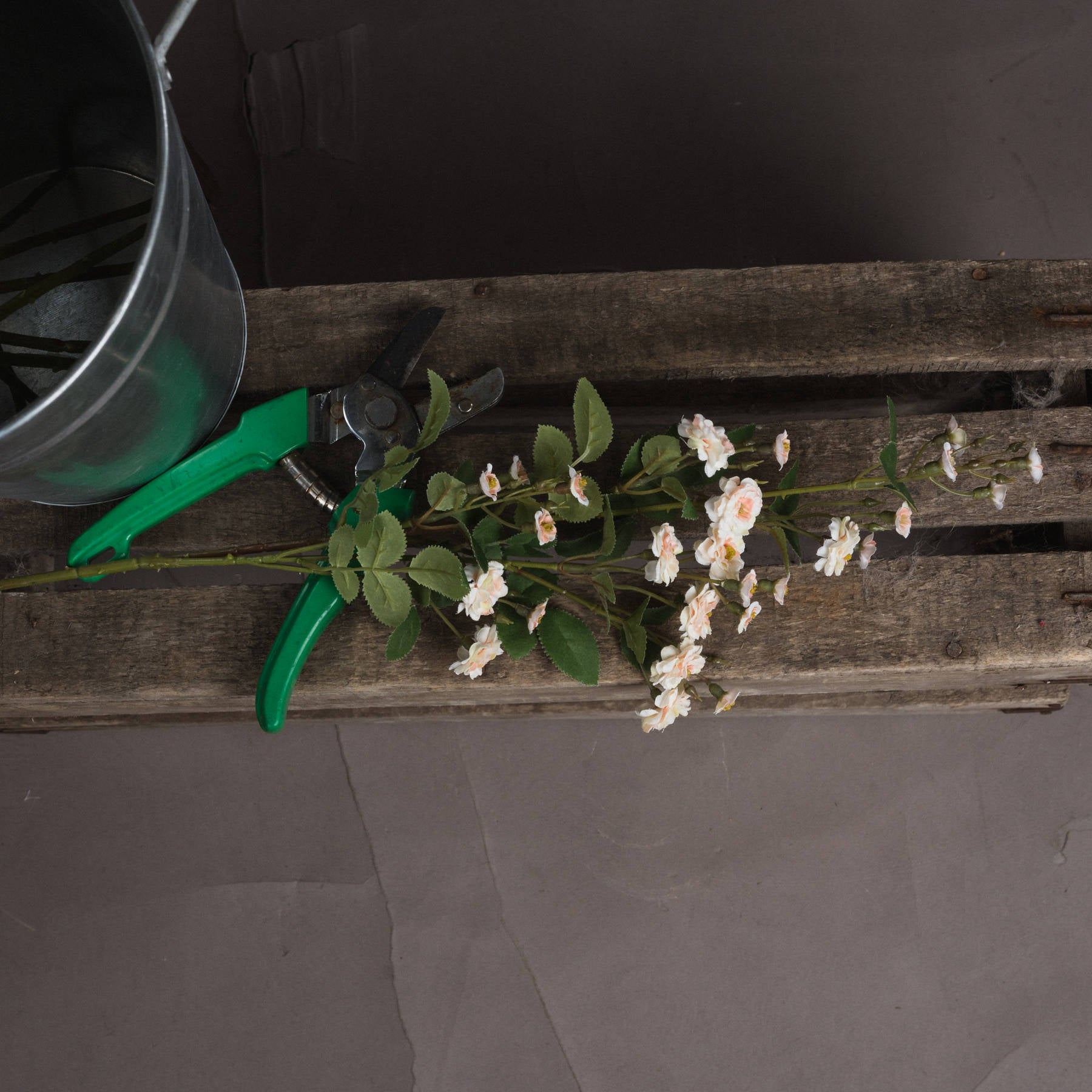 Skandi London Cream Wild Meadow Rose - Skandi London