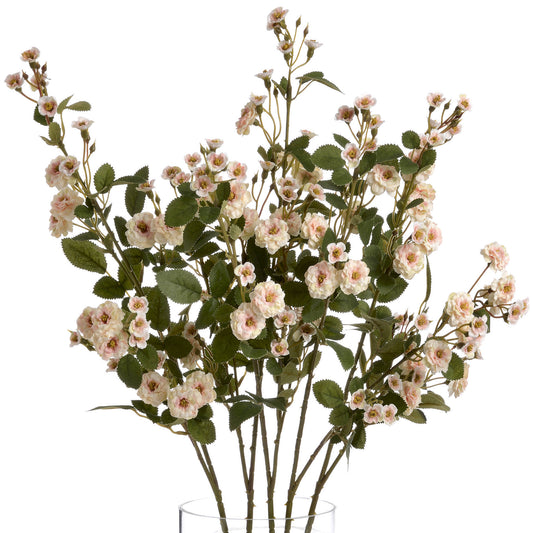Skandi London Cream Wild Meadow Rose - Skandi London