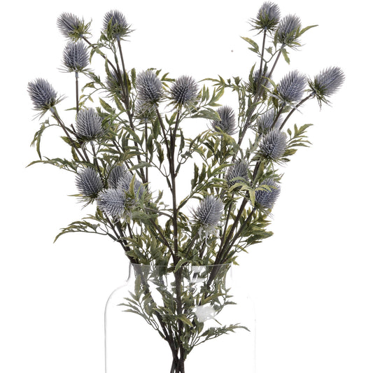 Skandi London Eryngium Blue Thistle - Skandi London
