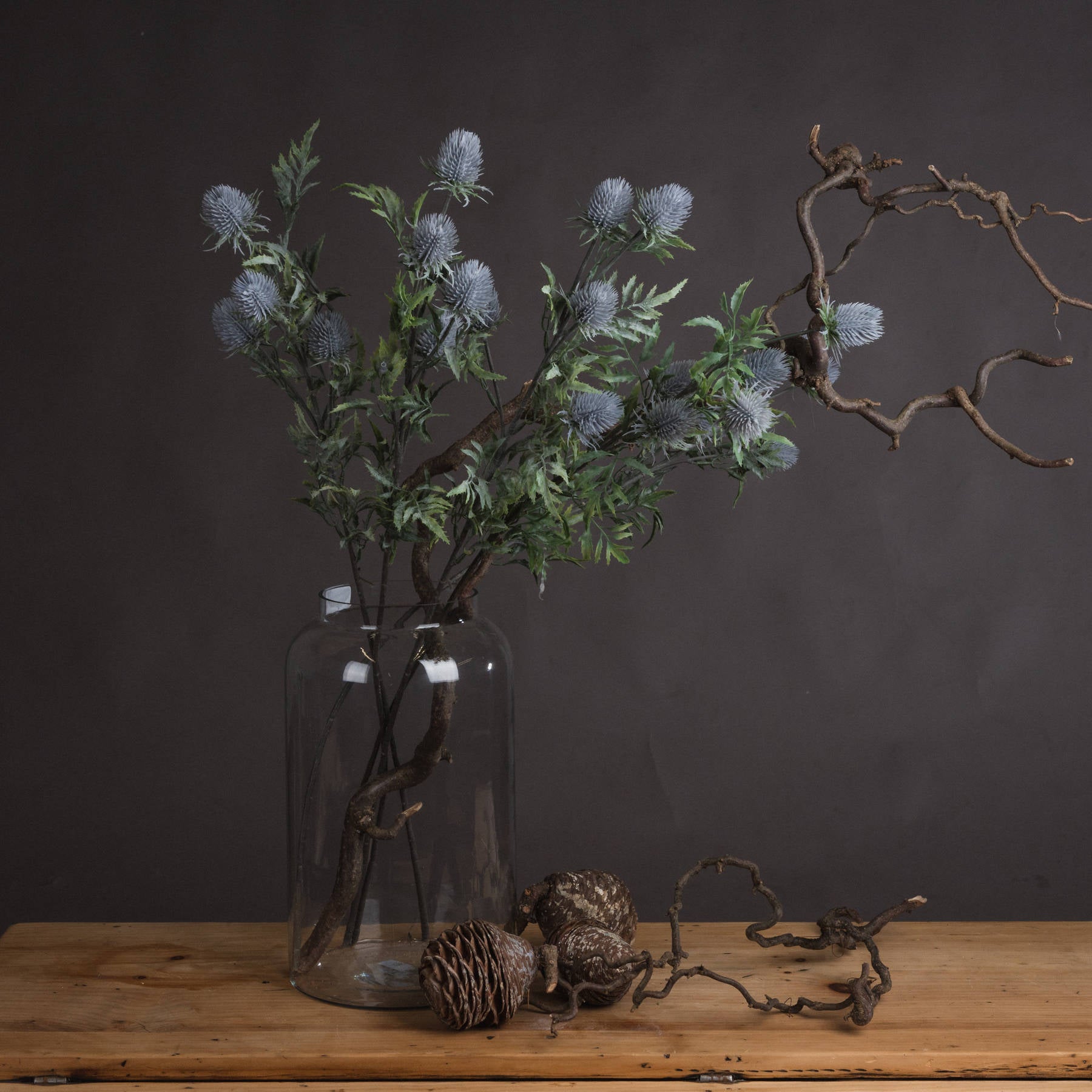 Skandi London Eryngium Blue Thistle - Skandi London