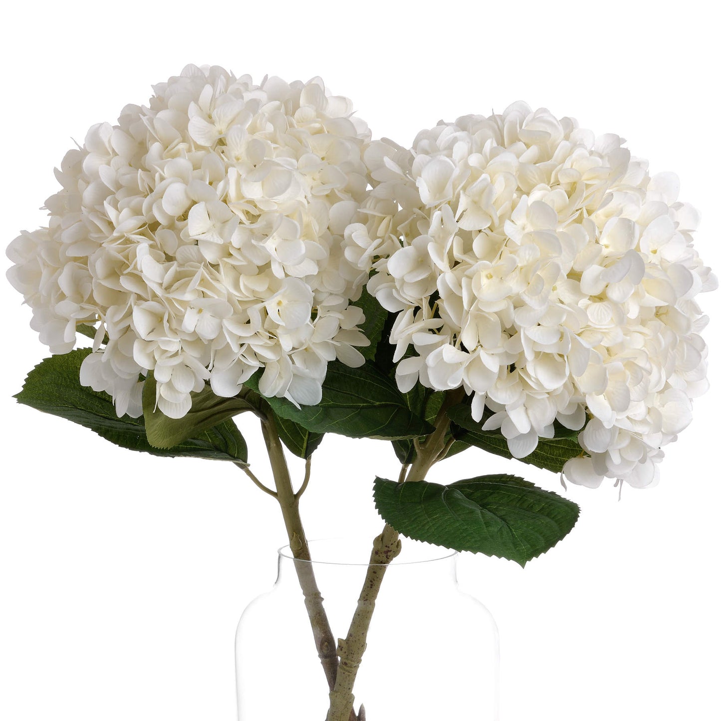 Skandi London Oversized White Hydrangea - Skandi London