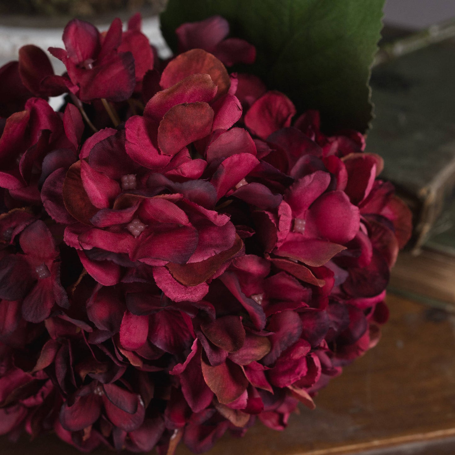 Skandi London Autumn Ruby Hydrangea - Skandi London