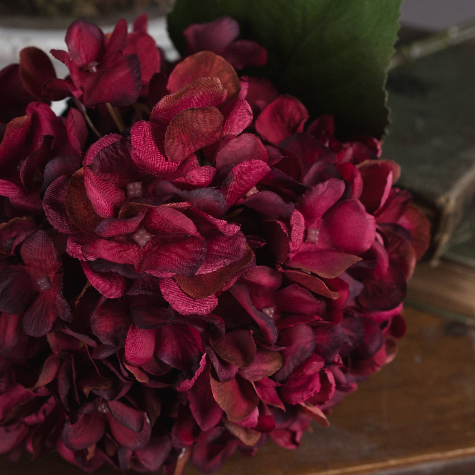 Skandi London Autumn Ruby Hydrangea - Skandi London