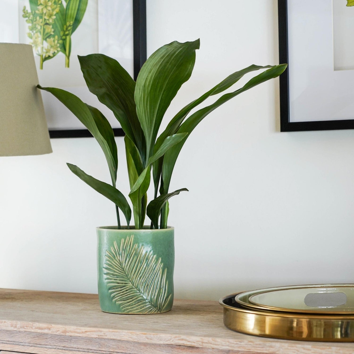 Skandi London Leaf Etched Planter in Olive - Skandi London