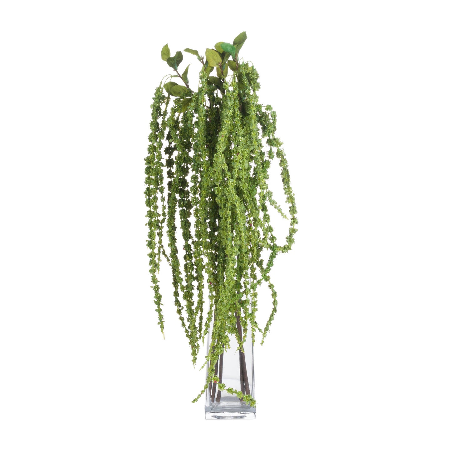 Skandi London Green Amaranthus - Skandi London