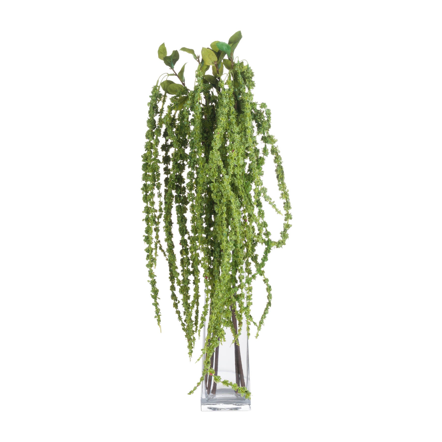 Skandi London Green Amaranthus - Skandi London