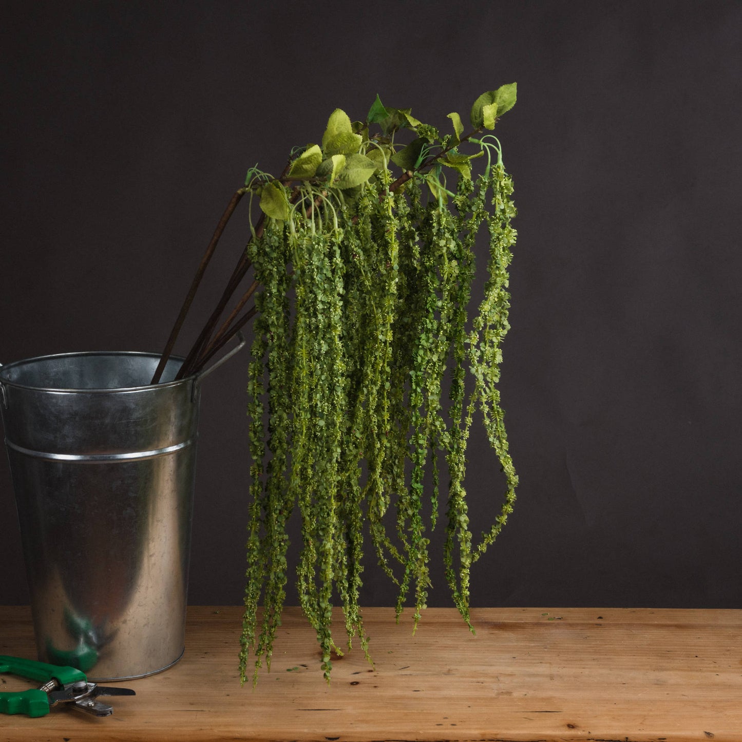Skandi London Green Amaranthus - Skandi London