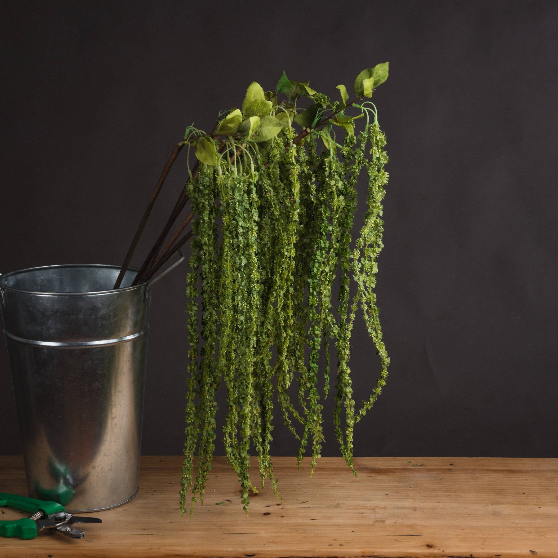 Skandi London Green Amaranthus - Skandi London