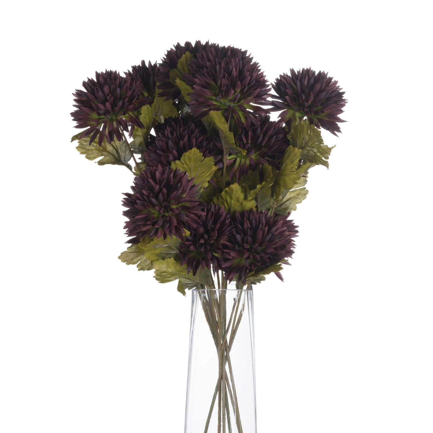 Skandi London Chocolate Chrysanthemum - Skandi London