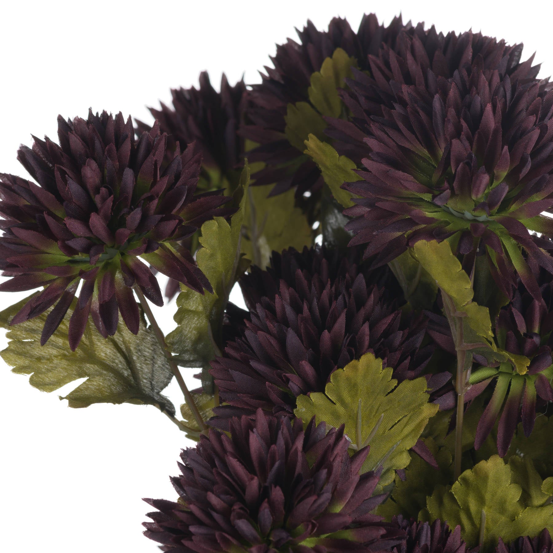 Skandi London Chocolate Chrysanthemum - Skandi London