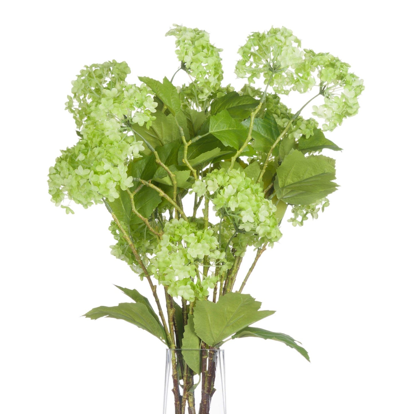 Skandi London Green Viburnum Spray - Skandi London