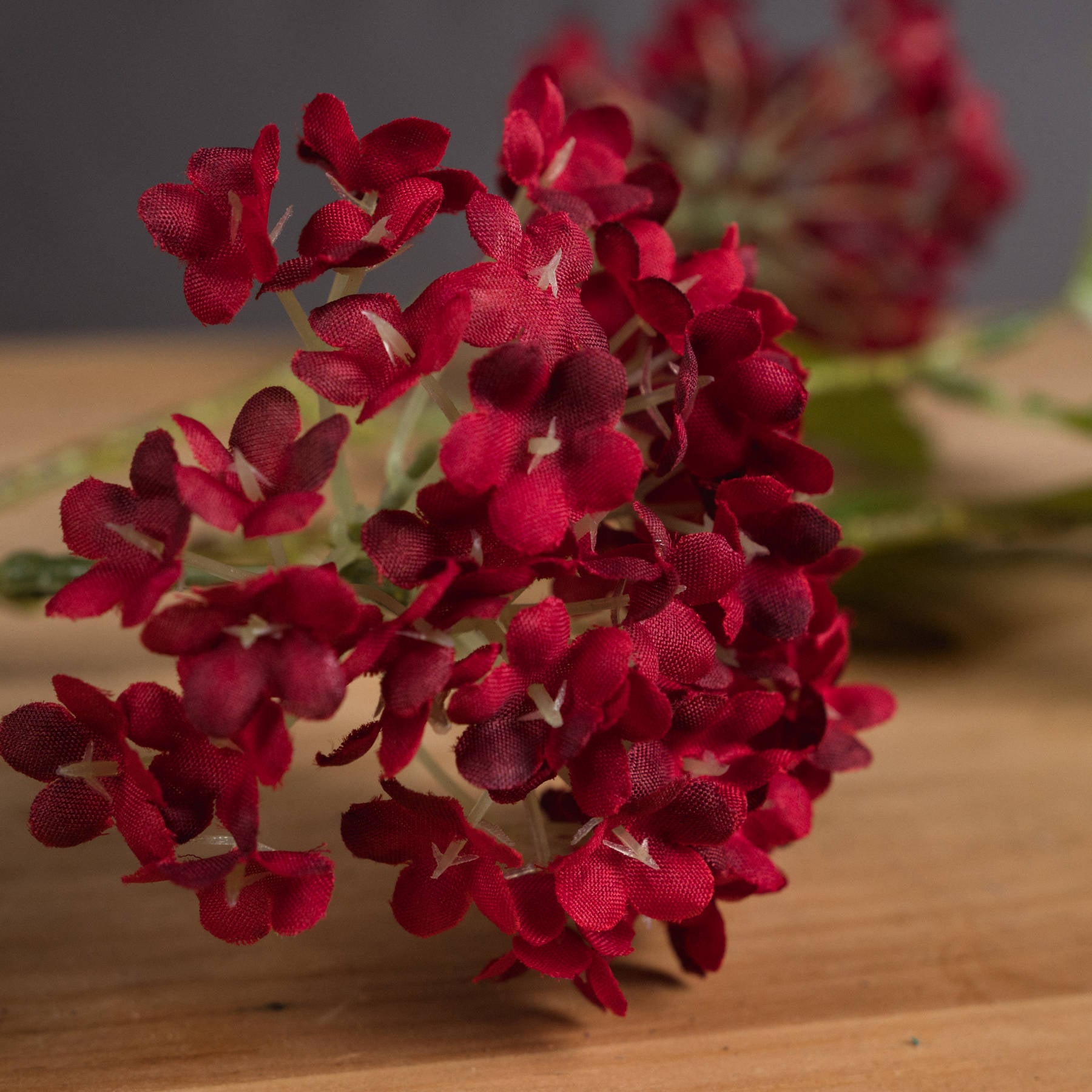 Skandi London Red Autumnal Viburnum - Skandi London