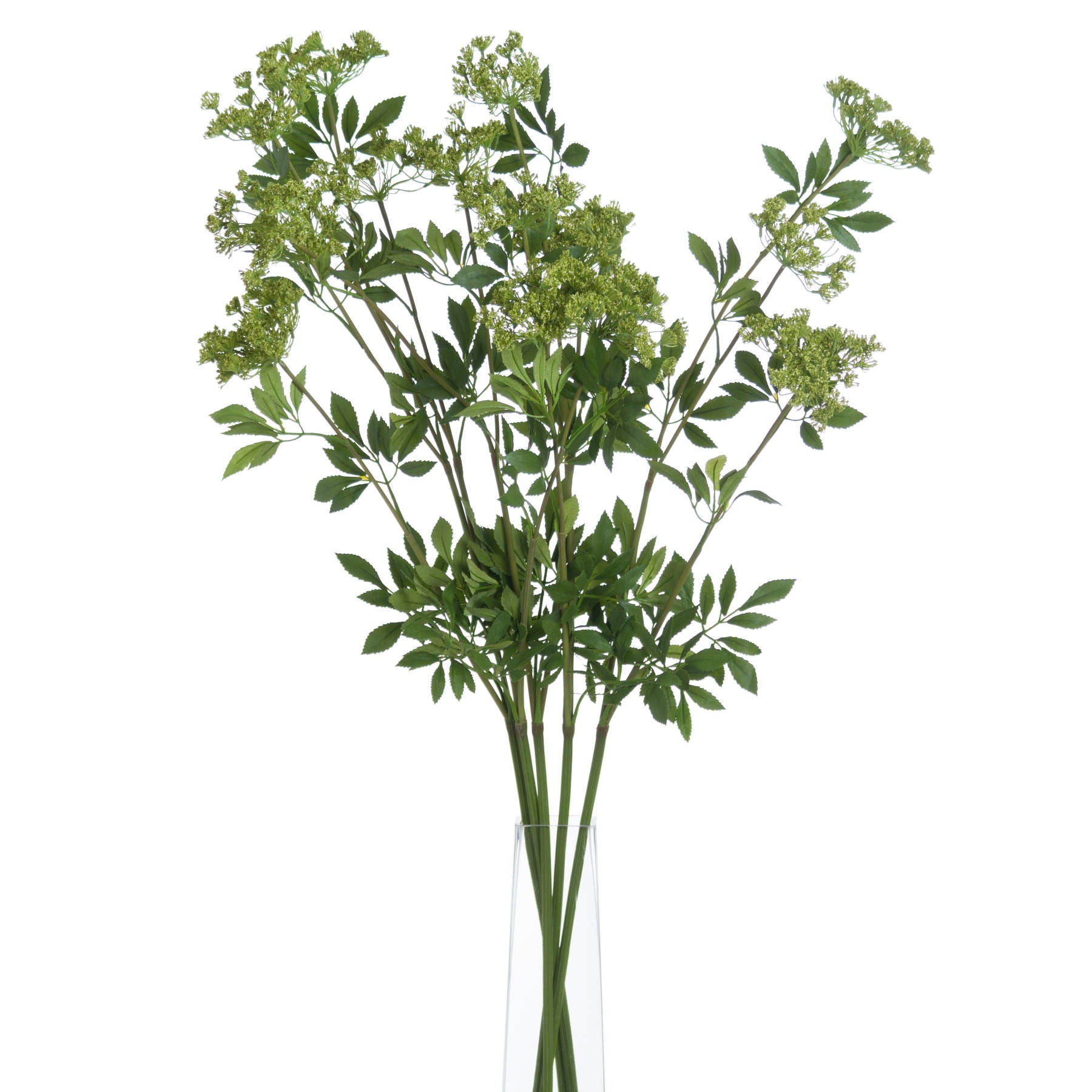 Skandi London Faux Cow Parsley Ammi - Skandi London