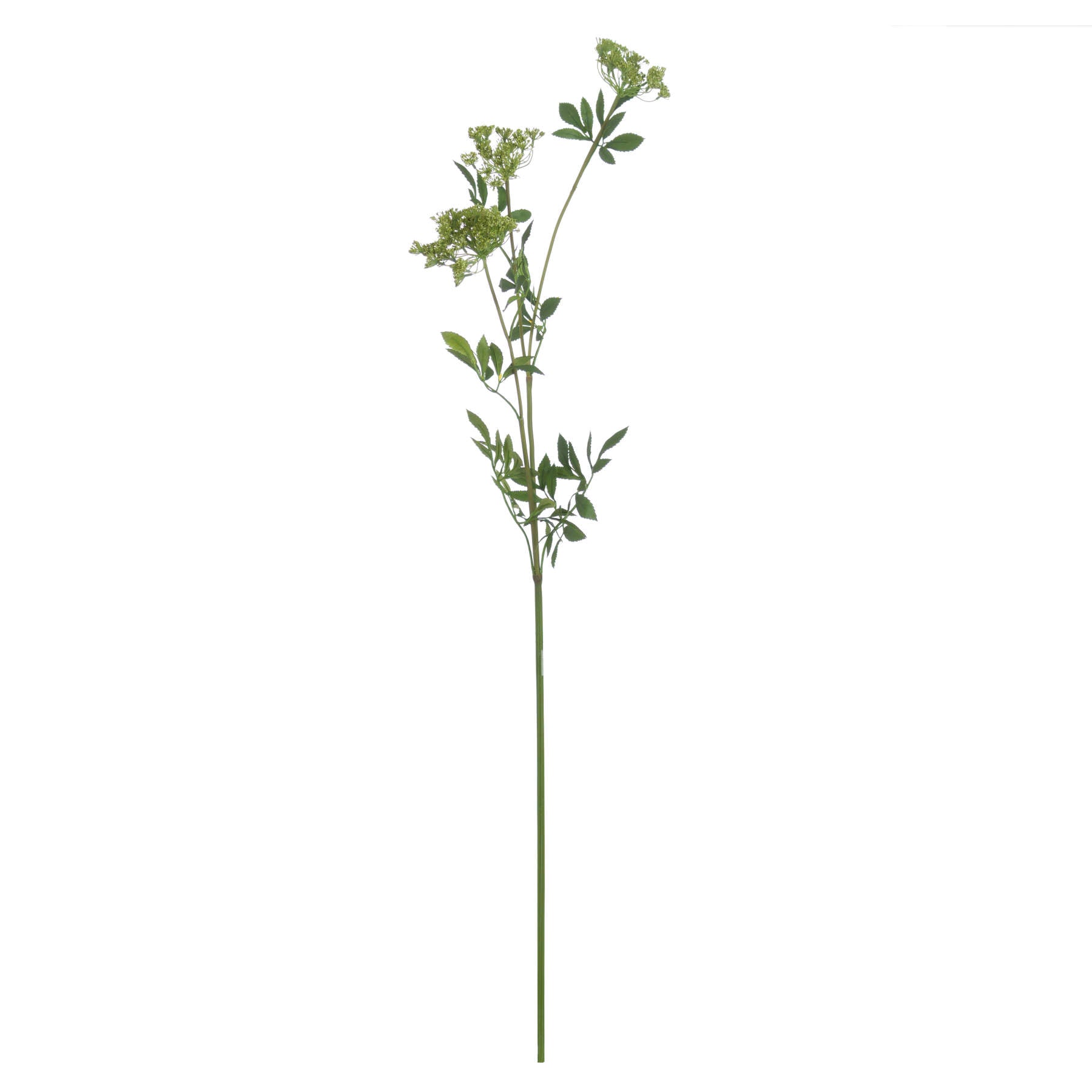 Skandi London Faux Cow Parsley Ammi - Skandi London