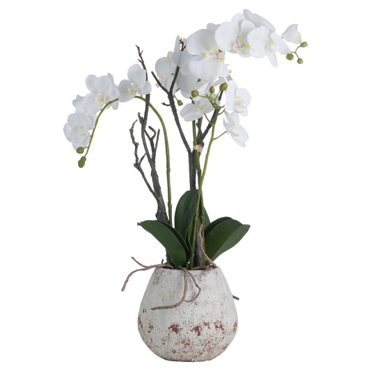 Skandi London White Orchid In Stone Pot - Skandi London