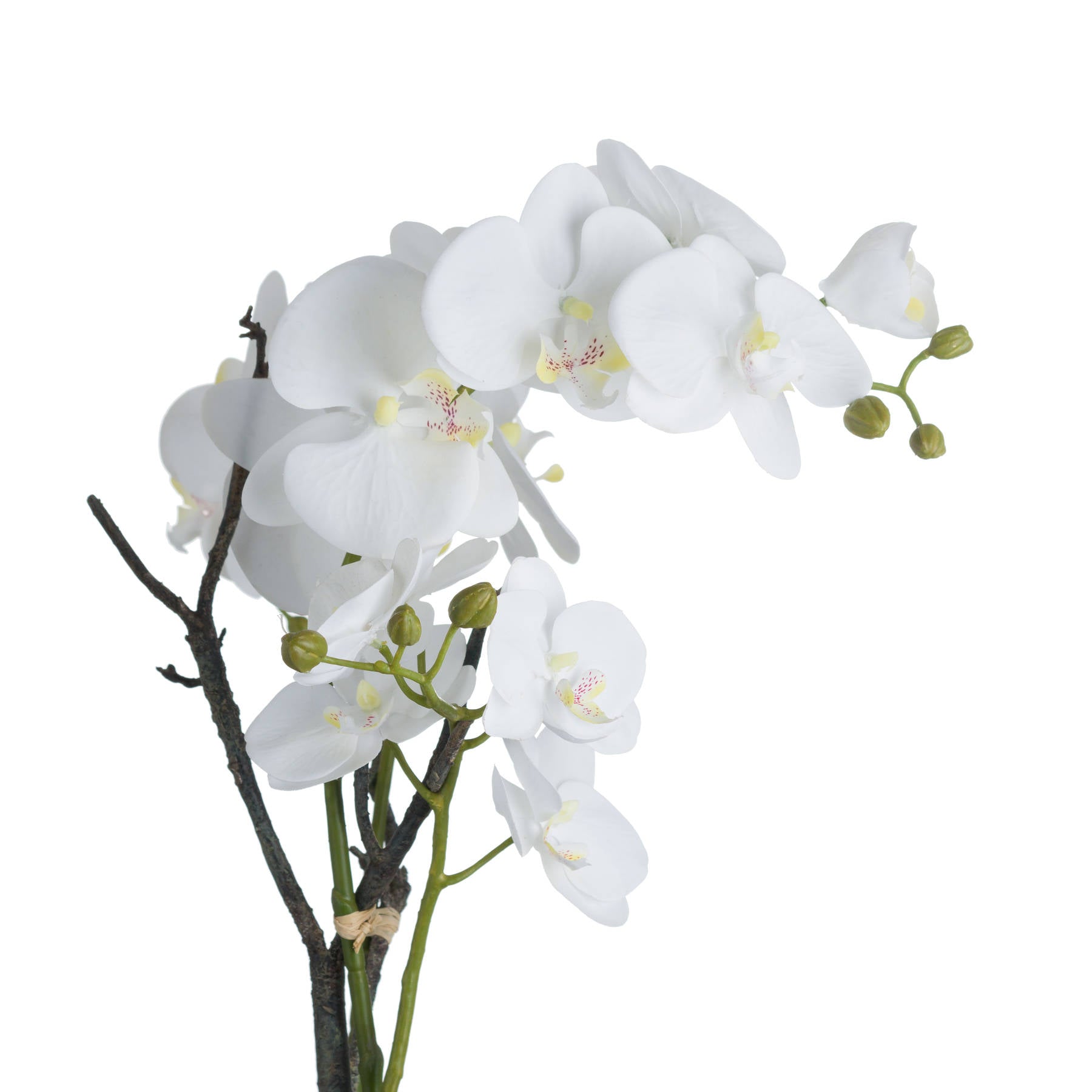Skandi London White Orchid In Stone Pot - Skandi London