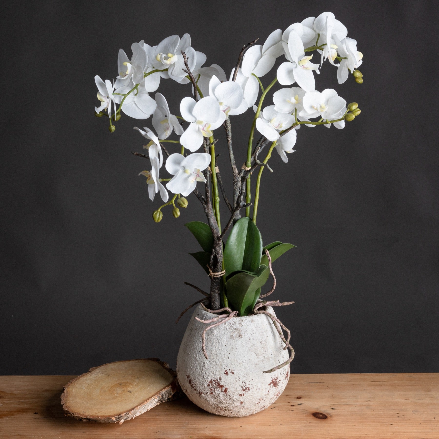 Skandi London White Orchid In Stone Pot - Skandi London