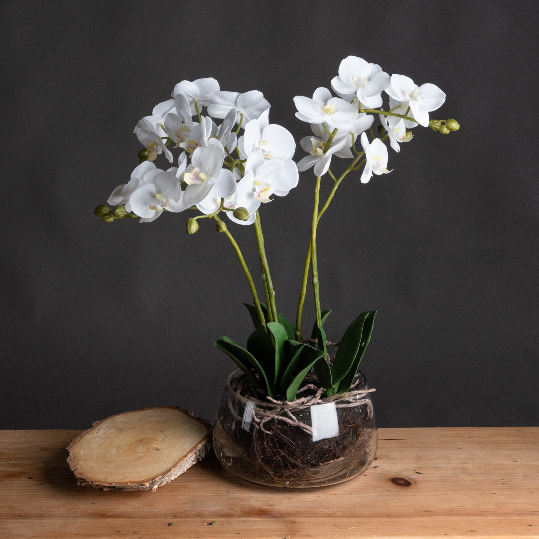 Skandi London White Orchid In Glass Pot - Skandi London