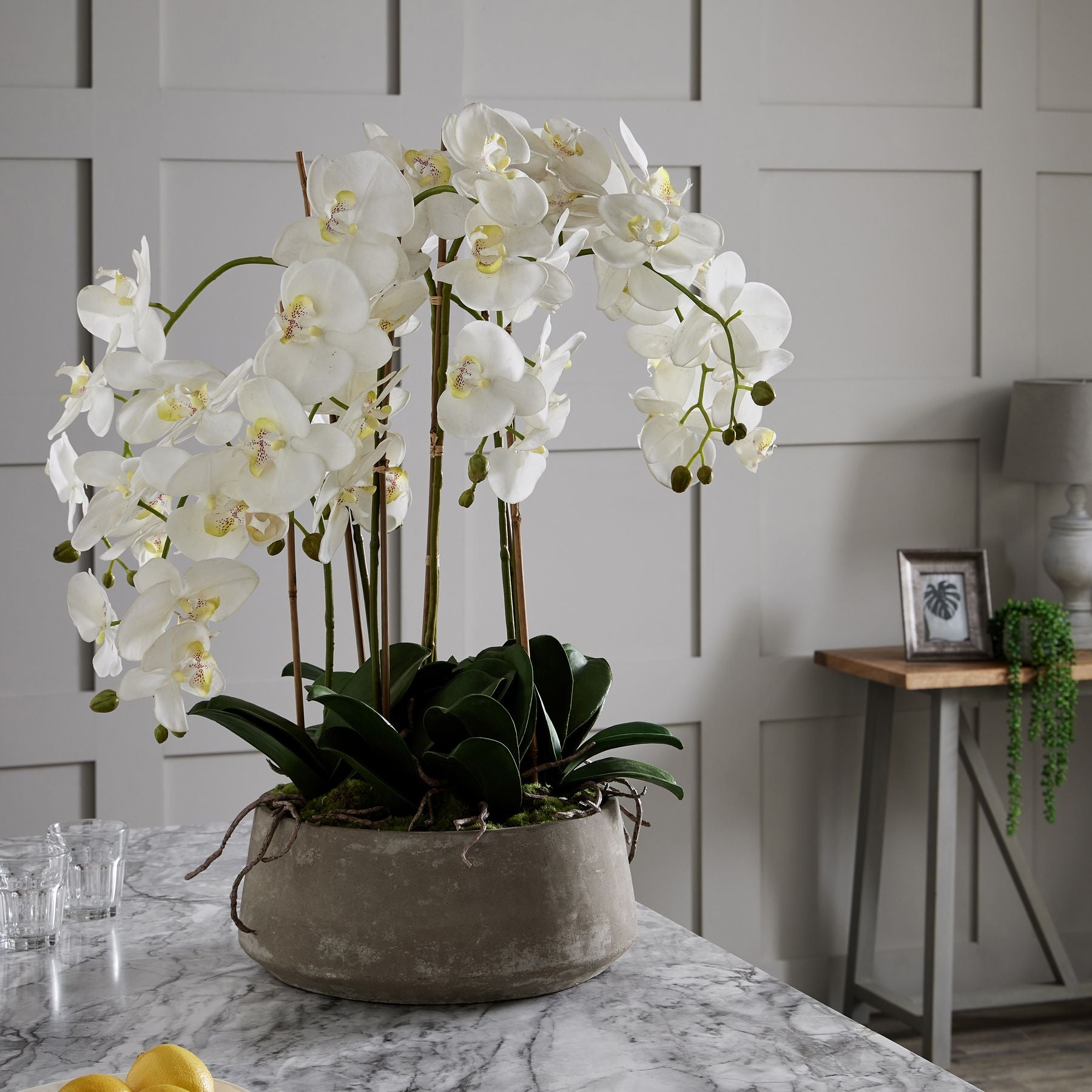 Skandi London Large White Orchid In Stone Pot - Skandi London