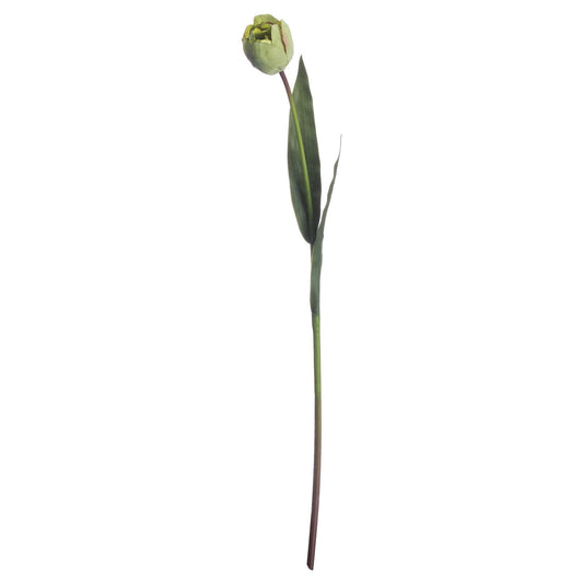 Skandi London Green Tulip - Skandi London