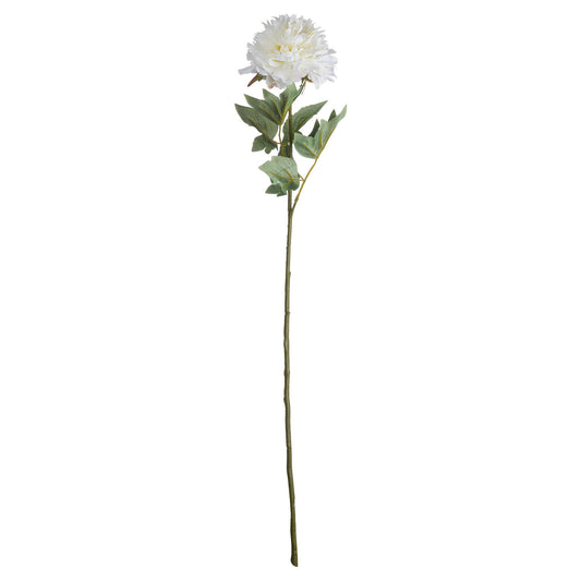 Skandi London Classic White Peony - Skandi London