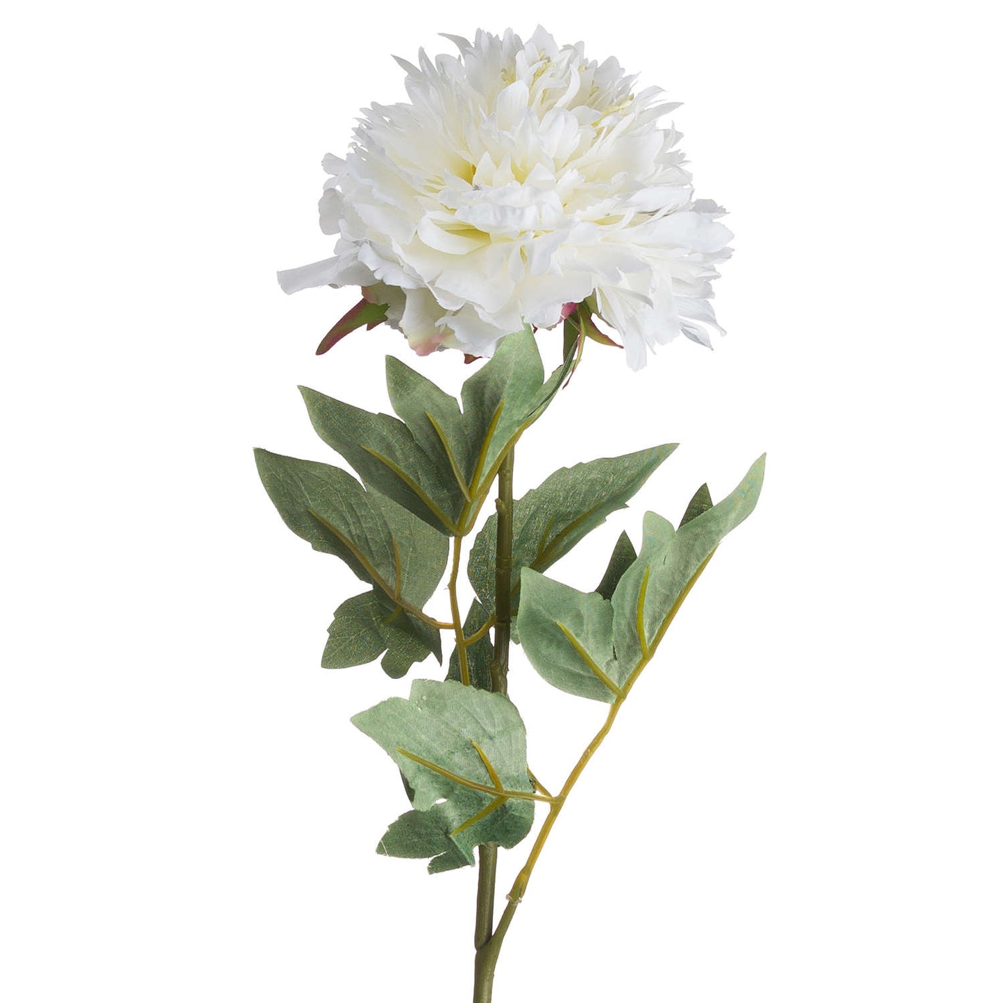 Skandi London Classic White Peony - Skandi London