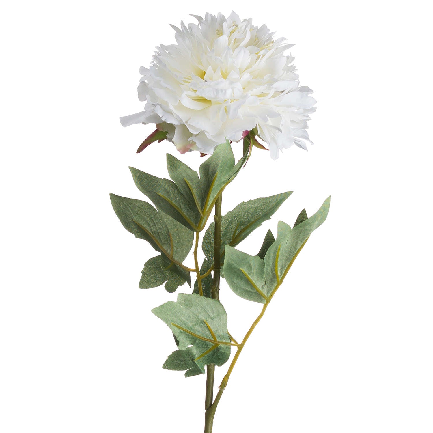 Skandi London Classic White Peony - Skandi London