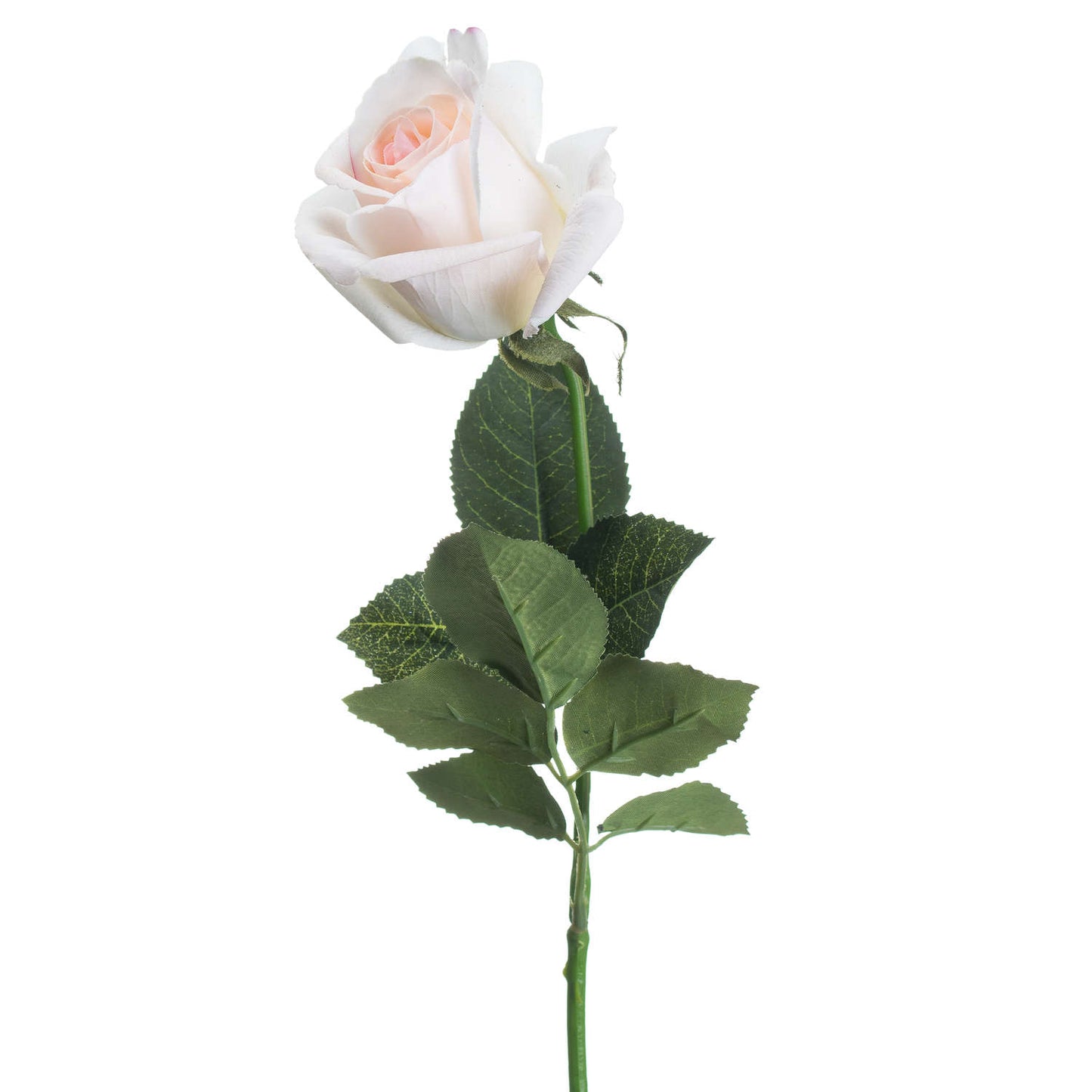 Skandi London Palest Pink Tea Rose - Skandi London