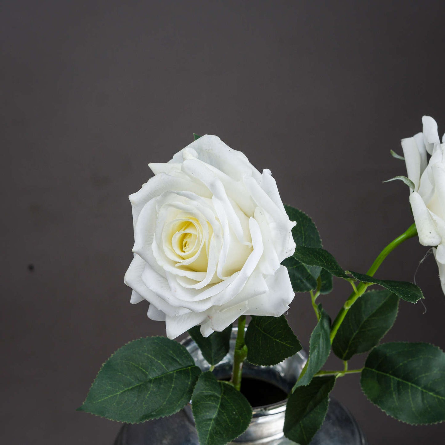 Skandi London Large White Garden Rose - Skandi London