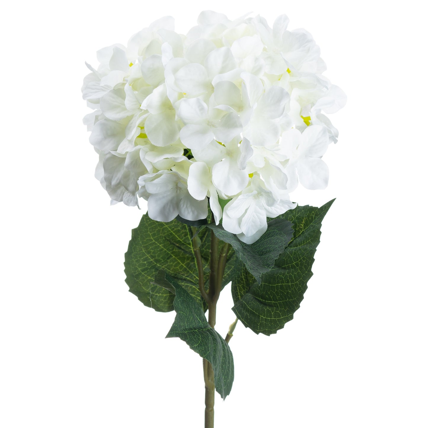 Skandi London Single White Hydrangea - Skandi London