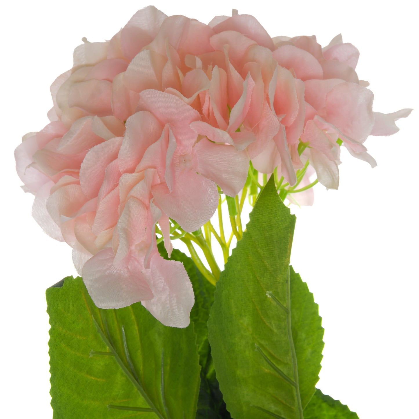 Skandi London Single Pink Hydrangea - Skandi London